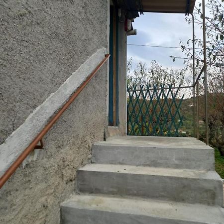 Casa Vita Apartment Vallebona Bagian luar foto