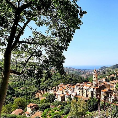 Casa Vita Apartment Vallebona Bagian luar foto