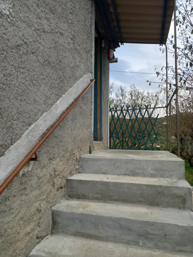 Casa Vita Apartment Vallebona Bagian luar foto