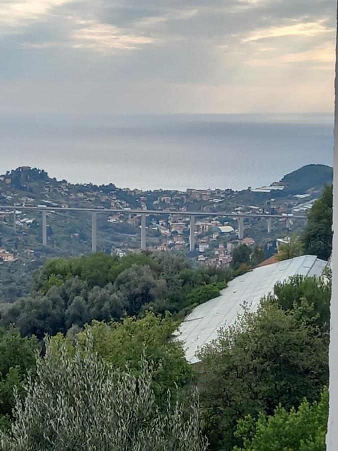 Casa Vita Apartment Vallebona Bagian luar foto