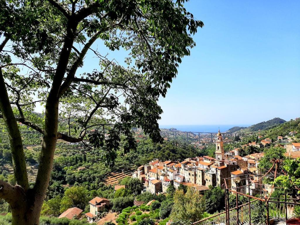 Casa Vita Apartment Vallebona Bagian luar foto